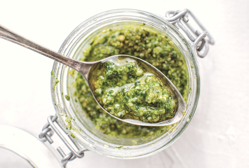 Hemp Heart Avocado Pesto – Tiny Sprouts Foods