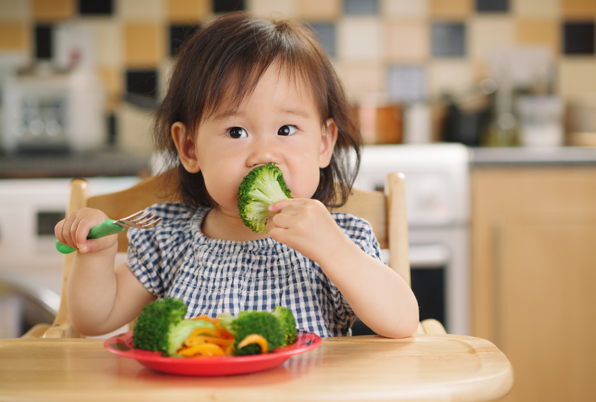 Toddler in a high chair eating broccoli from a plate